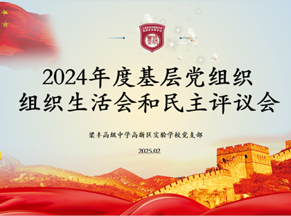 2024年度基层党组织组织生活会和民主评议会
